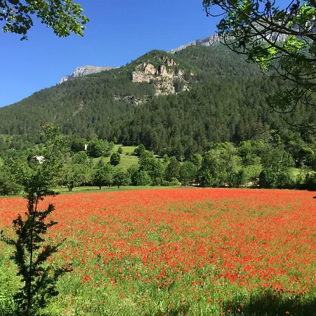 Les Capucines